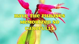 The Bangles - What I Meant To Say (with Lyrics)