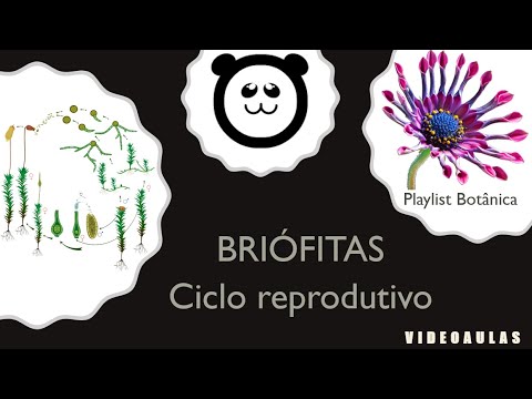 Briófitas - Ciclo reprodutivo