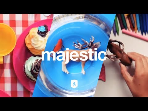 Wild Culture - For Everything | Official Music Video