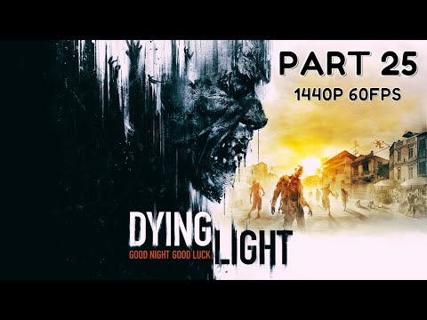 DYING LIGHT 100% Walkthrough Gameplay Part 25 - No Commentary (PC - 1440p 60FPS)