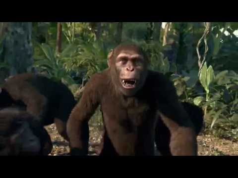 La Cumbia Del Chango- Coldplay