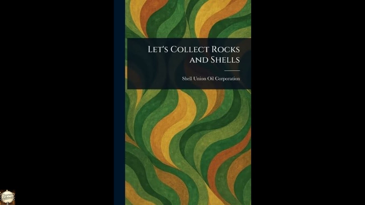 Let's Collect Rocks and Shells