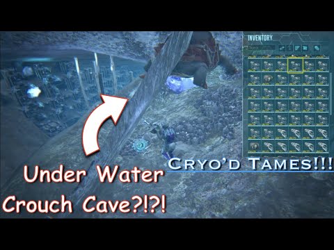 RAIDING A BROKEN UW CROUCH CAVE?!?!🐢 |Ark Official PvP|