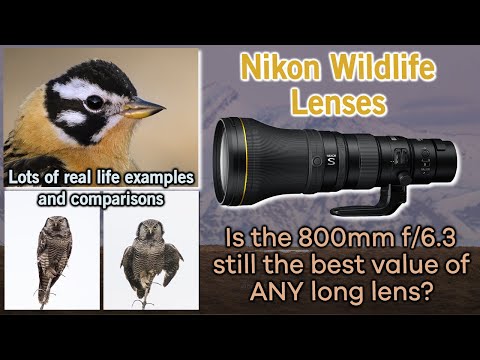 Nikon Wildlife-Objektiv-Sortiment 2025 ... Ist das 800 mm f/6.3 immer noch das beste Preis-Leistu...