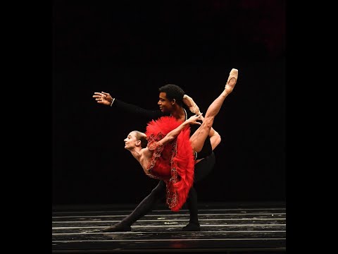 DAP Focus on - Maria Kochetkova Osiel Gouneo