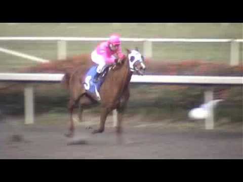 Blind Luck crushes field in Hollywood Starlet