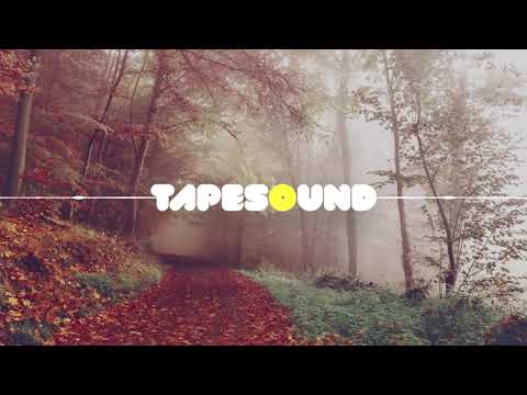 Flughand ft. steichi - fyrsta