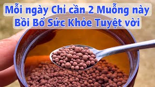 Download the video "Mỗi ngày 2 muỗng sẽ Bồi Bổ Sức Khỏe, bổ huyết, bổ khí tuyệt vời. PHAN HẢI Channel"