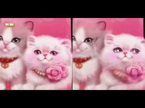 please like and share