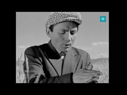 Хөхөө гэрлэх дөхлөө / Khukhuu gerlekh dukhluu