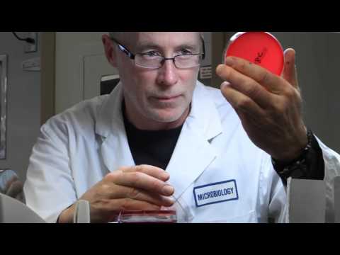 download lagu mp3 mp4 Autopsy Doctor Salary, download lagu Autopsy Doctor Salary gratis, unduh video klip Autopsy Doctor Salary