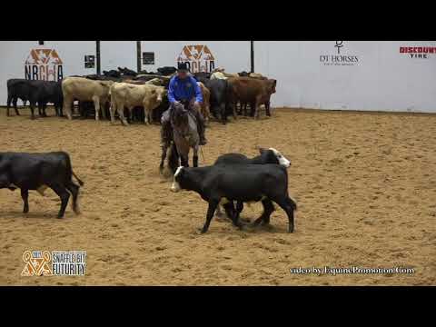 Plain Catty ridden by Jake D. Gorrell  - 2017 Snaffle Bit Futurity (Herd Work, IO/LO FINALS)