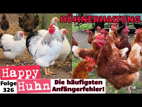 Hühner halten: Die 10 häufigsten Anfängerfehler von Hühnerstall bis Küken-Aufzucht HAPPY HUHN E326
