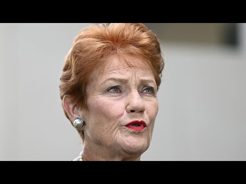 Liberal Party has ‘dropped the ball’ as One Nation support strengthens