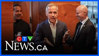 Download lagu 'It's the sensible move': Reid defends PM Carney's trade stance on Canada's energy mp3 Download lagu 'It's the sensible move': Reid defends PM Carney's trade stance on Canada's energy mp3