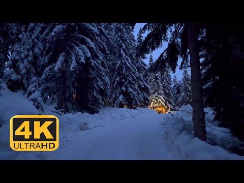 Rugova Canyon | Walkthrough Winter Wonderland 4K - Peja, Kosovo