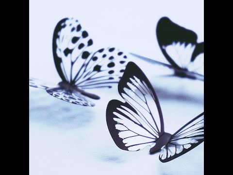 Video thumbnail U9Mb5oloBJ4