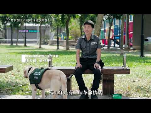 執勤犬退役後的生活是什麼模樣？
