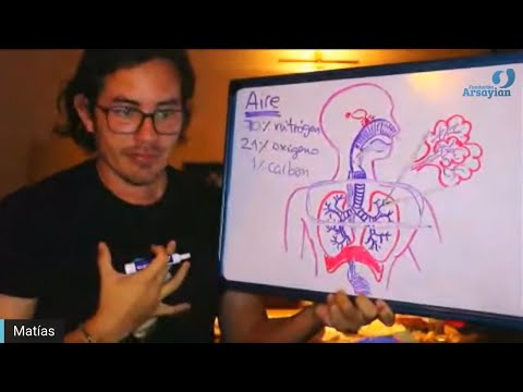 Day 293 RESPIRATORY-IMMUNE Talk - Matias De Stefano - English Edit