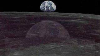 Meduse e Tappeti - Verdena Clip