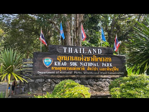 Walking tour,Bang Hua Rat/Ton Kloi waterfall-Khao Sok National park 🏞 Thailand 🇹🇭