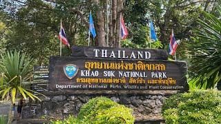 Walking tour,Bang Hua Rat/Ton Kloi waterfall-Khao Sok National park 🏞 Thailand 🇹🇭