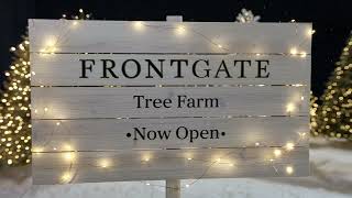 Frontgate Find Your Perfect Christmas Tree | Frontgate