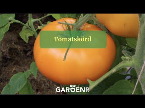 , title : 'Skörda och skydda tomater - Trädgårdshacks med GardenR'