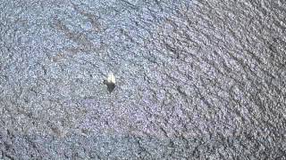 Pedro Olalla: ¿Por qué Grecia?