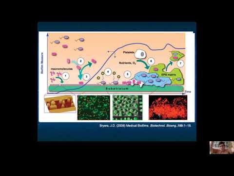 Biofilmes e Quorum Sensing   parte 1