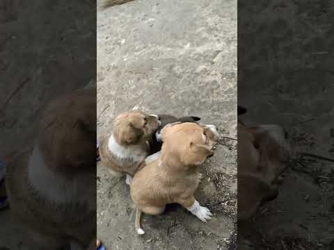 Take a pill car video $&Dk