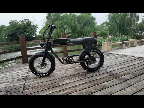 The best fat tire electric bicycle in China