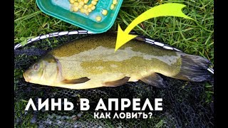 Где клюет линь в свердловской области