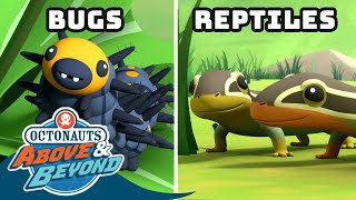 Octonauts: Above & Beyond - Bugs & Reptile