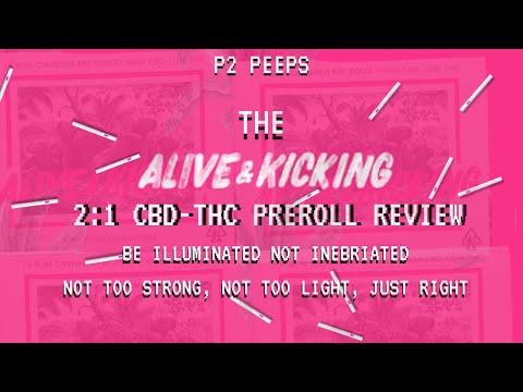 THESE CBD THC PRE-ROLLS ARE INSANE | Alive & Kicking 2:1 CBD THC Pre-Roll Review |