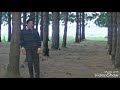 Teri Ummed Tera Intezaar Karte Hai Song Whatsapp Status Video