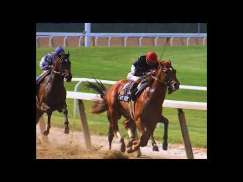 Great Breeders Cup Moments...The Race of the Decade!!!