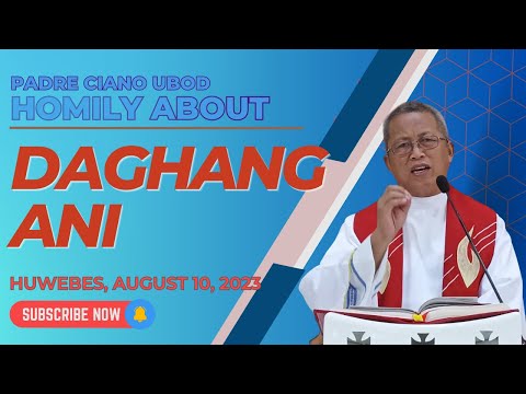 Fr. Ciano Homily about DAGHANG ANI - 8/10/2023