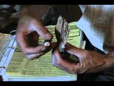 Dinosaur Biology compared directly to Seazoria Dragons Biology.