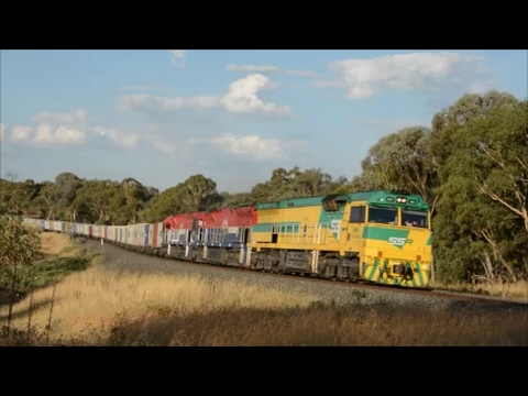 SSR's 8148 at Euchareena