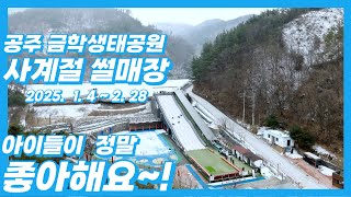 겨울철 공주시 사계절 설매장 운영 이미지