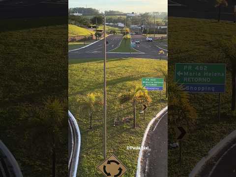 Umuarama #shorts #shortsviral #umuarama #parana #rodoviaria #viagem #umuaramapr