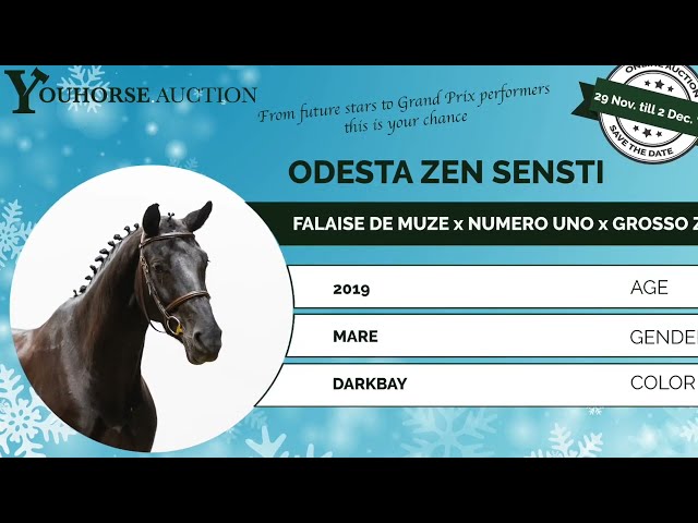 Odesta Zen Senti showvideo