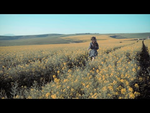 King Kismet - Oxygen (Official Music Video)