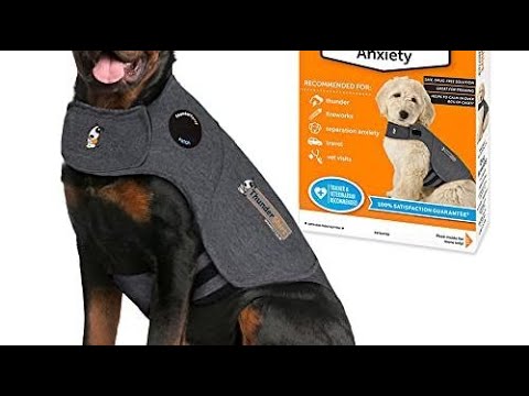 Top 10 Dog Car Barriers You Can Buy  June 2023
