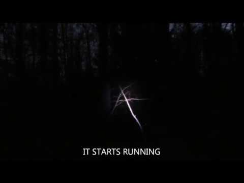 November 8, 9 2017 bitter cold, suspicious howl