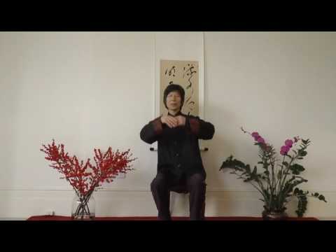 Daoist Internal Alchemy Meditation 2016 Zhixing Wang, The Dao Hua Qigong School (UK)