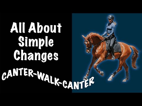 How to do Simple Changes: Canter-Walk-Canter