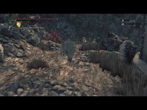 Bloodborne Brador's Corpse Secret 2