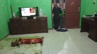 Download lagu story wa terbaru lucu #RC mp3 Download lagu story wa terbaru lucu #RC mp3